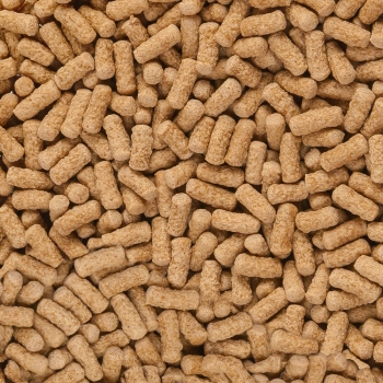 Preview: sera Raffy Mineral 250ml - 52g